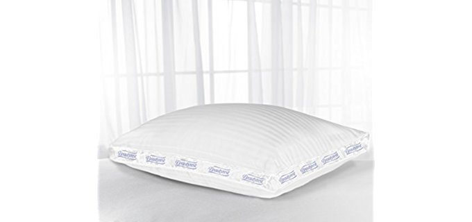 Beautyrest Extra Firm Pillow for Back & Side Sleeper, Two Pack, Queen Size