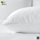 Sahara Nights Pillow: Best Pillow for Back and Stomach Sleepers -Hotel & Resort Quality Pillows - Gel Fiber Fill with 100% Premium Cotton - Hypoallergenic Pillow (Standard Size Pillow)