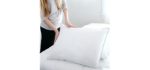 Luxury Sealy Posturepedic Hypoallergenic Soft Down Pillow