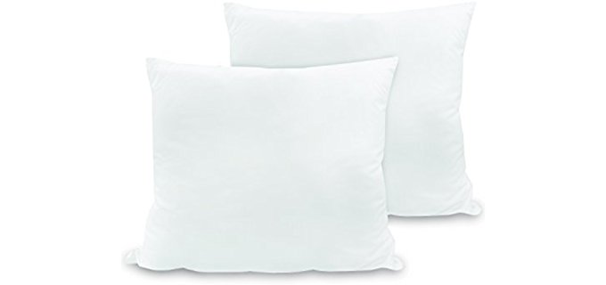 BioPedic Luxurious 28-by-28 Inch Euro Square Pillows, 2-Pack