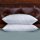Home Elements Quilted White Goose Feather Standard Pillow (Set of 2)