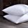 Puredown White Goose Down and Feather Bed Pillow, White, Set of 2, Standard/Queen Size