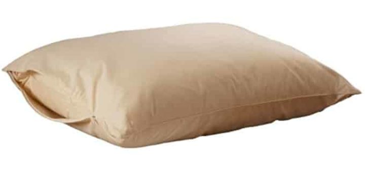 Best Hypoallergenic Pillows