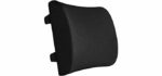 Everlasting Comfort Memory Foam - Lumbar Back Support Cushion