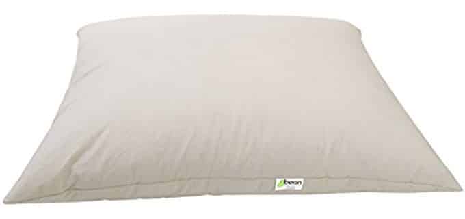 Bean Products Standard - Organic Kapok Pillow and Pillow Case