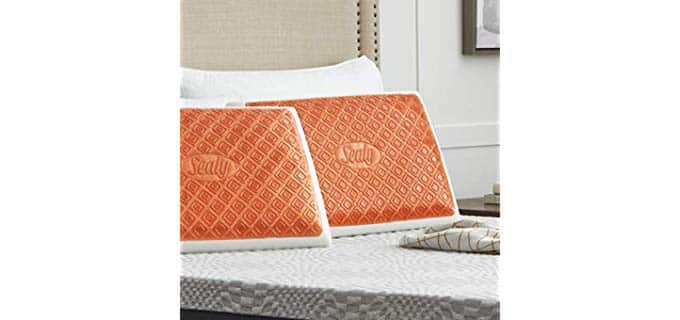 Sealy CoolGEL - Memory Foam Copper Infused Pillow