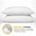 DreamNorth PREMIUM Gel Pillow Loft (Pack of 2) Luxury Plush Gel Bed Pillow For Home + Hotel Collection [Good For Side and Back Sleeper] Cotton Cover Dust Mite Resistant & Hypoallergenic - Queen Size