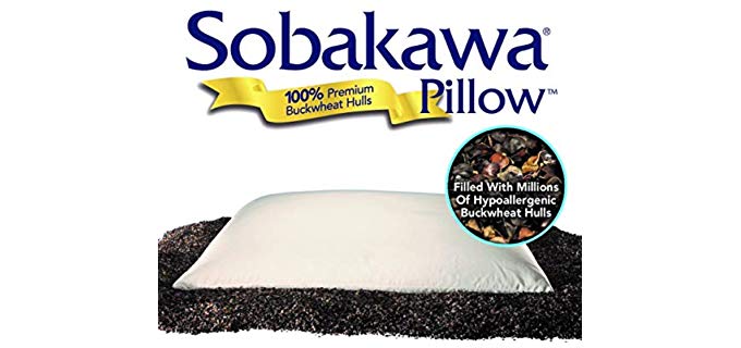 Sobakawa Pillows Reviews - Pillow Click