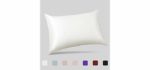 ALASKA BEAR Natural Silk Pillowcase for Hair and Skin 19 Momme 600 Thread Count 100 Percent Hypoallergenic Mulberry Silk Pillow Slip Queen Size with Hidden Zipper (1, Ivory White)