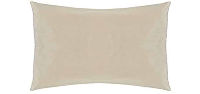 Sleep & Beyond 20 by 36-Inch Washable Wool Pillow, King, Natural