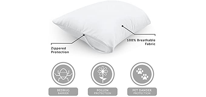 pillows for Dust Mite Allergies