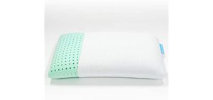 Aloe Vera Pillows March 2021 Pillow Click