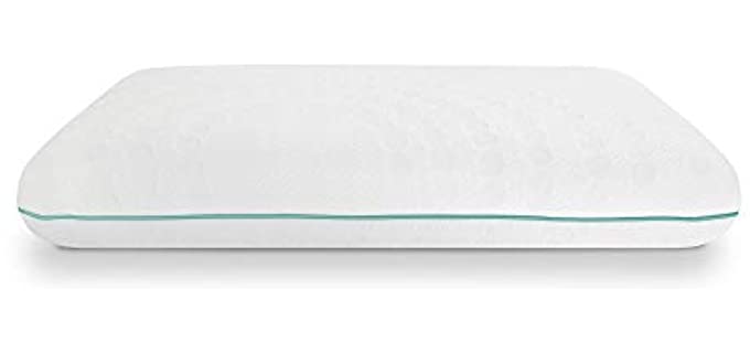 SensorPEDIC Standard - Eucalyptus Fiber Pillow