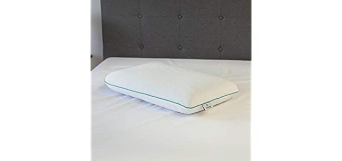 Soft T. International Eucalyptus - Pillow