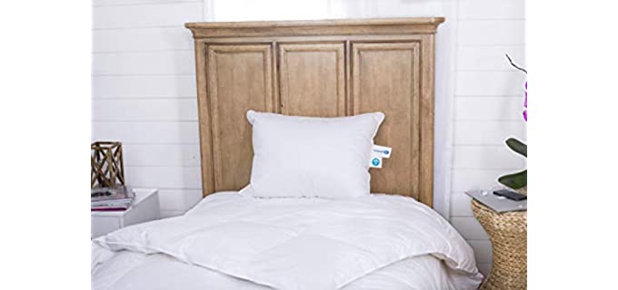 Continental Bedding Goose - Down Pillows