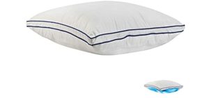 waterbase pillow for neck pain