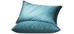 Globon Luxurious White Goose Feather and Down Bed Pillows, King Size 20“x 36”, 460 TC,100% Cotton Sateen shell,Three Chambers ,Hypoallergenic , Medium Firm and Soft Support, Set of 2, Blue