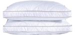Puredown Natural Goose - Down Feather Pillow