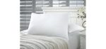 Amrapur Overseas | Down Alternative Microfiber Pillows, 2 Pack (White, Standard)