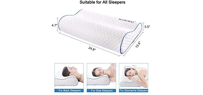 Best Pillow for Neck and Back Pain - Pillow Click