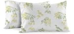 Royal Tradition Heavyweight Flannel, 100-Percent Cotton Standard Pillow Cases, Set of 2, Hedgerow Print, Soft Pair of Pillowcases