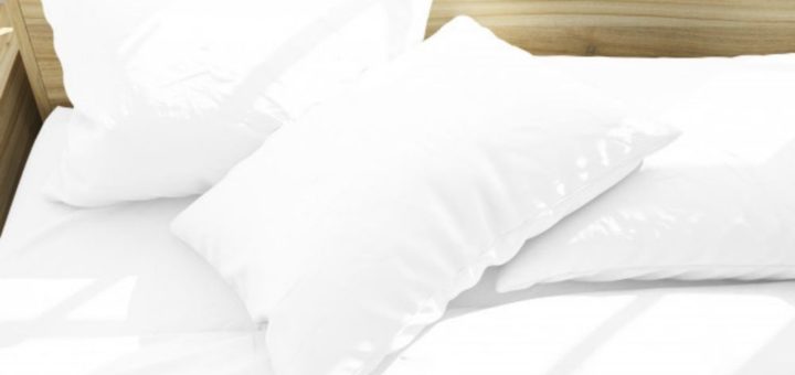 Most Healthiest Pillows