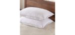 Basic Beyond Down Alternative Bed Pillow - 2 Pack Hotel Collection Super Soft Queen Size Pillow for Sleeping, 20x28 Inches