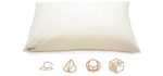 ComfyComfy Premium Buckwheat Pillow, Queen Size (20” x 30”), Comes with Extra 2 lb of USA Grown Buckwheat Hulls to Customize for Comfort, Made from Durable Organic Cotton Twill