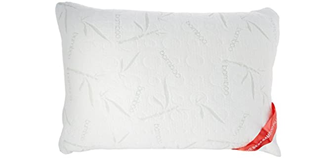 All That Jazz Aloe Vera Memory Foam Additional Comfort Pillow Sleeping Relief Zipper Close (Queen Soft) 28 in X 19 in