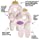 Boppy Head and Neck Support—Preferred | Pink Princess Minky Design | Removable Neck Ring and Pressure Relieving Cutout | For 3- or 5-Point Harness | 0-4 months | For Bouncers, Strollers and Swings