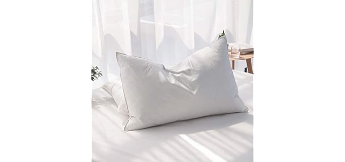 AIKOFUL Feathers Goose Down Pillow