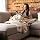 Arcturus Bighorn Virgin Blanket