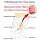As Awesling Detachable Maternity Soft Long Pregnancy Body Pillow
