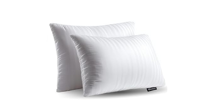 Beautyrest Goose Hypoallergenic Down And Feather Pillow