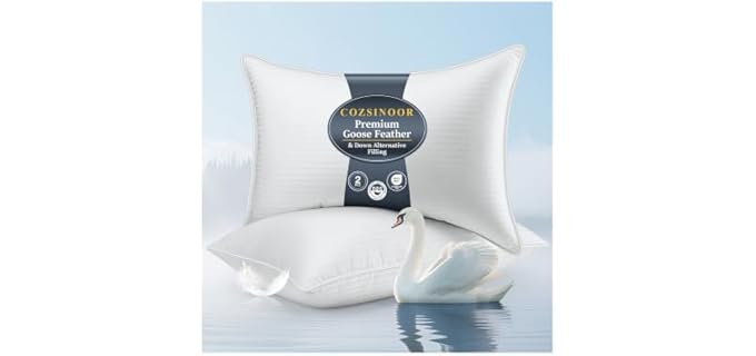 COZSINOOR Feather Goose Down Pillow