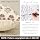 DKwizme Farmhouse Floral Soft Washable Pillow Cover