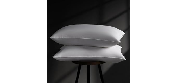 Downstoria Goose Down Goose Down Pillow