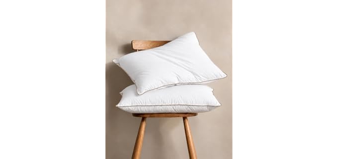 Dreamhood Feather Goose Down Pillow