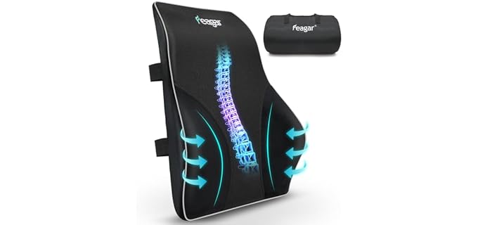 Feagar Classic Adjustable Memory Foam Lumbar Pillow