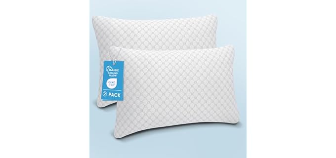 Oaisz Classic Adjustable Shredded Memory Foam Pillow
