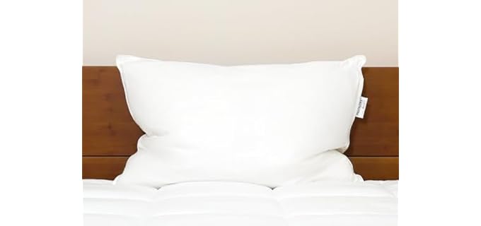 Pillowtex White Duck Goose Down Pillow