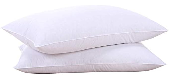 Puredown Feathers Goose Down Pillow