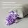 Purple Freeform Pillow