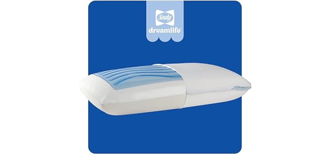 Sealy Dreamlife - Cooling Gel Memory Foam Pillow Sealy Dreamlife Cooling Gel Memory Foam Pillow