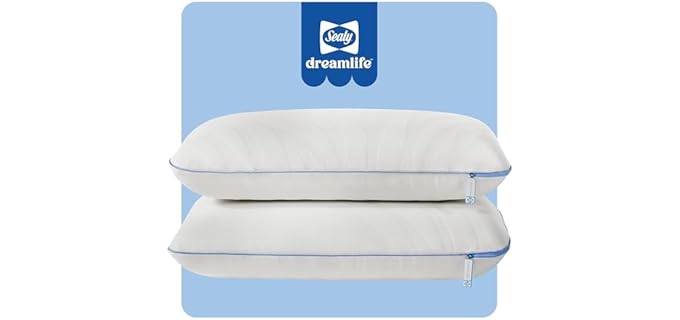 Sealy Dreamlife Cooling Gel Memory Foam Pillow