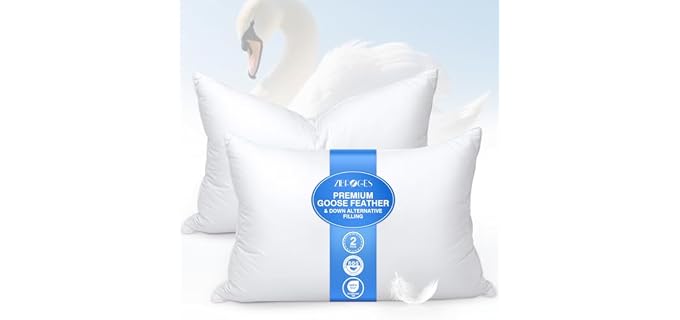 Zibroges Feather 2-Hotel Goose Down Pillow